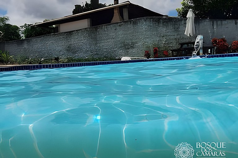 Forest View Refuge x Pool