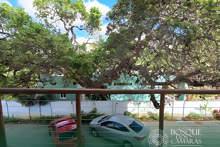 Forest View Refuge x Pool