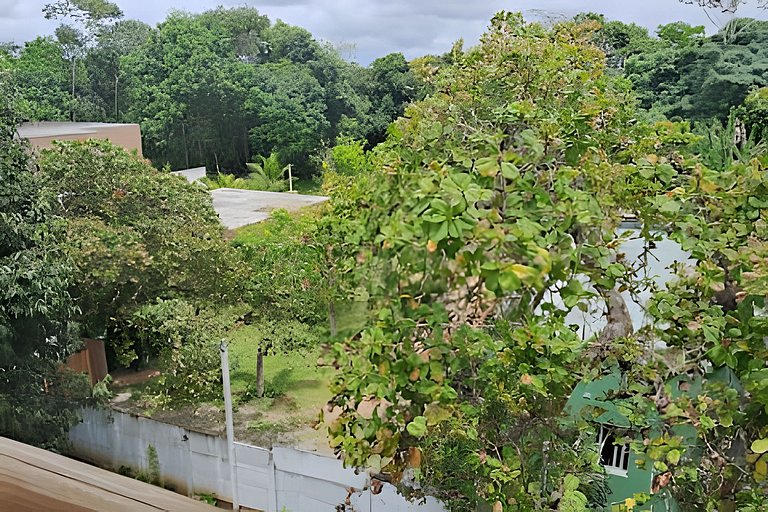 Bosque dos Camarás - Out of Time