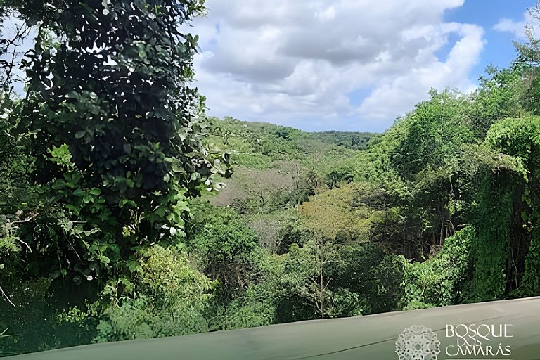Flat Vista Natureza x Piscina