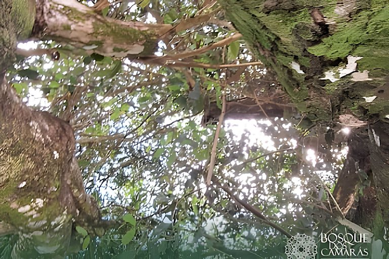 Flat Vista Natureza x Piscina