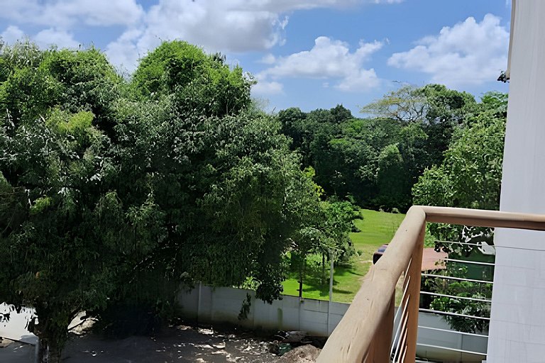 Bosque dos Camarás Panorâmico