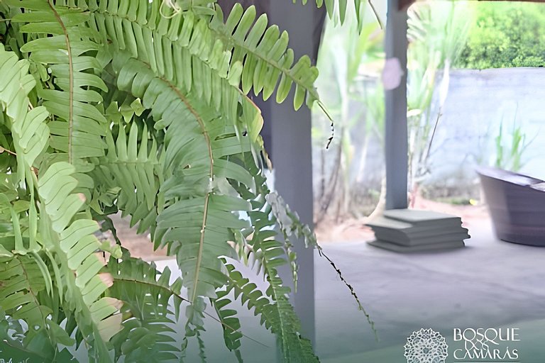 Camarás Forest - Flats Residence