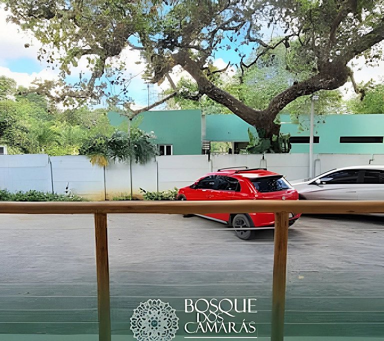 Jequitiba Suite